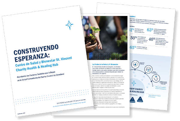 Spanish brochure array-600